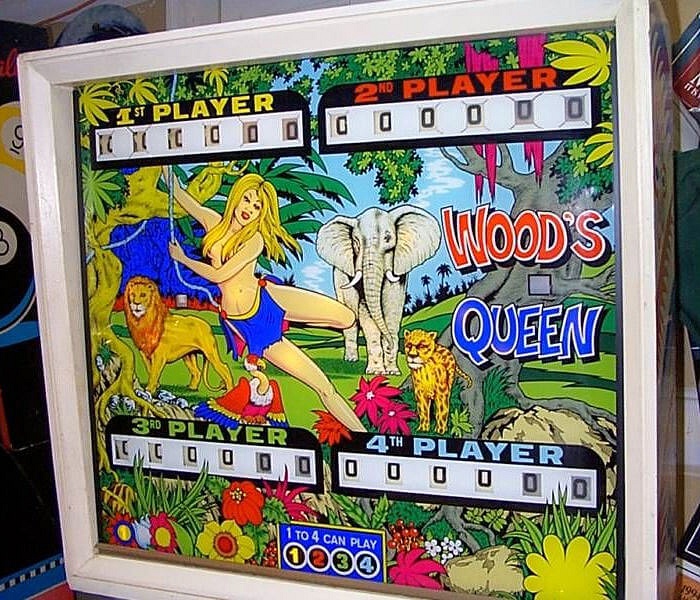 Wood's Queen is a 4-player electro-mechanical pinball machine produced by Zaccaria in 1975. It features artwork with a crown and forest theme, typical of the era's fascination with majestic and regal motifs.