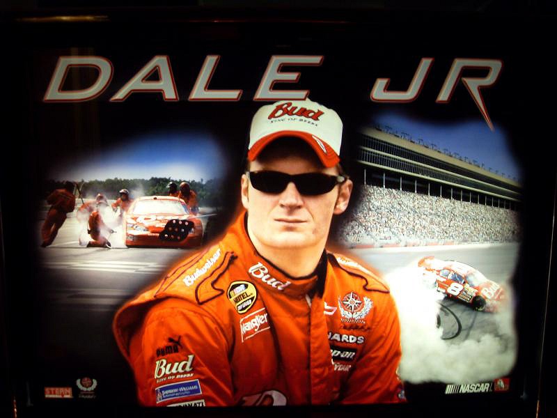 Dale Jr. is a pinball machine designed and produced by Stern Pinball in 2006, themed around NASCAR and specifically revolving around the popular race car driver Dale Earnhardt Jr.