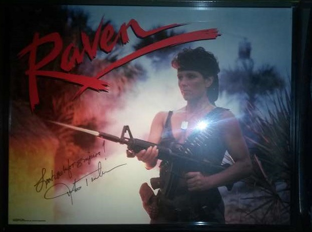 Raven is a pinball machine produced by Gottlieb, released in 1986. The game features an action-packed spy theme with military undertones, notable for its unique backglass artwork and gameplay elements.