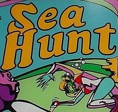Sea Hunt is a vintage electro-mechanical pinball machine released by Allied Leisure in 1971. Known for its nautical theme, the game features various underwater elements and art reflecting the 1970s pinball era.
