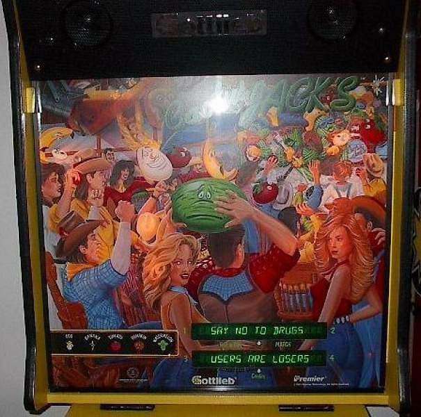 Cactus Jack's is a pinball machine released by Gottlieb in 1991 featuring a musical desert theme.