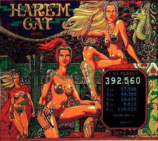 Harem Cat is an electro-mechanical pinball machine released by Universal in 1978. It is known for its unique theme and captivating artwork.