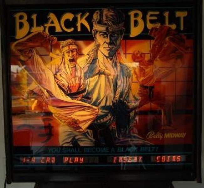 Black Belt is a martial arts-themed pinball machine produced by Bally in 1986.