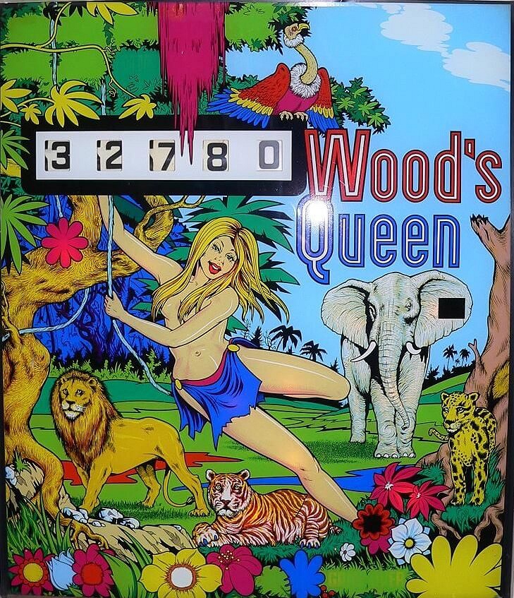 Wood's Queen is a single-player pinball machine by Zaccaria released in 1975, known for its unique theme and features typical of the mid-70s era.